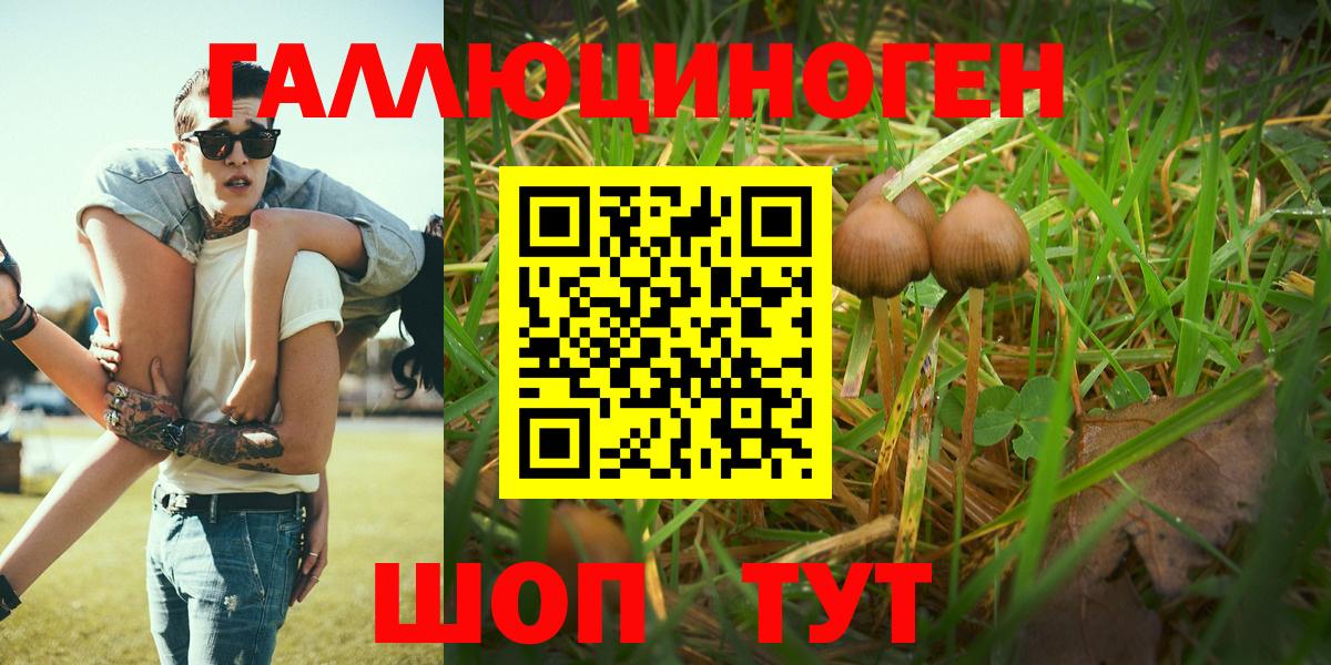 Псилоцибиновые грибы Magic Shrooms Усолье-Сибирское