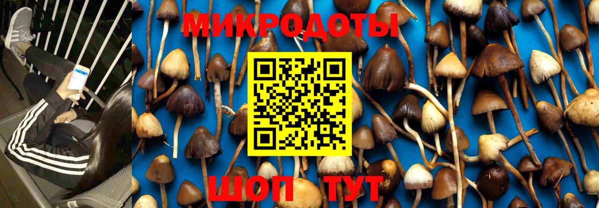 Усолье-Сибирское  Галлюциногенные грибы Magic Shrooms  Вход с VPN  Галлюциногенные грибы Psilocybine cubensis 
